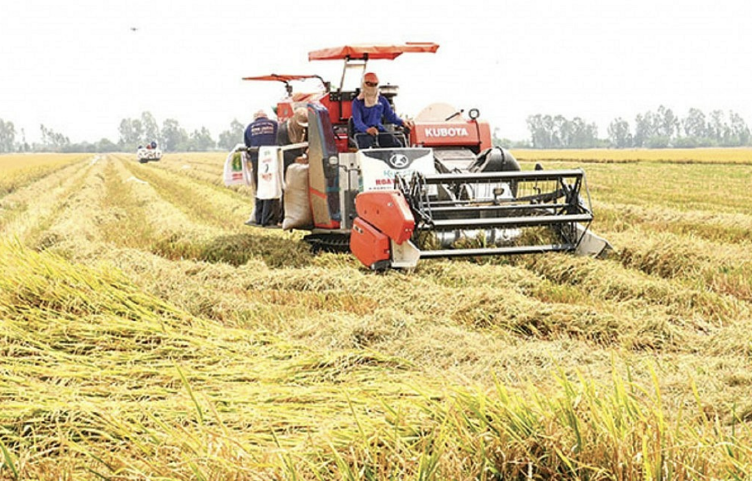 Đề án "Phát triển bền vững 1 triệu ha lúa chuyên canh chất lượng cao gắn với tăng trưởng xanh vùng đồng bằng sông Cửu Long" chính thức khởi động