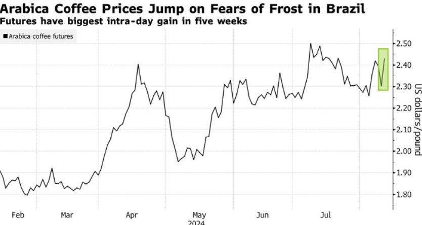 Giá cà phê arabica tăng mạnh vì lo ngại sương giá ảnh hưởng đến sản lượng của Brazil
