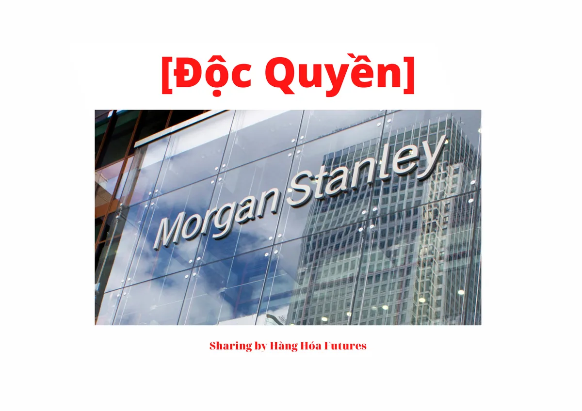 [Độc Quyền] - Morgan Stanley -2023 Investment Outlook - INSTITUTIONAL INVESTORS