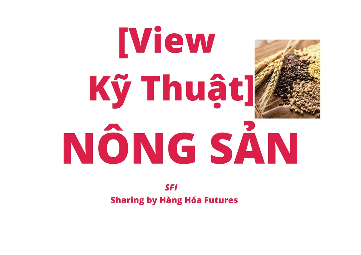 [View Kỹ thuật] - Nông sản - Ngày 15.02.2023