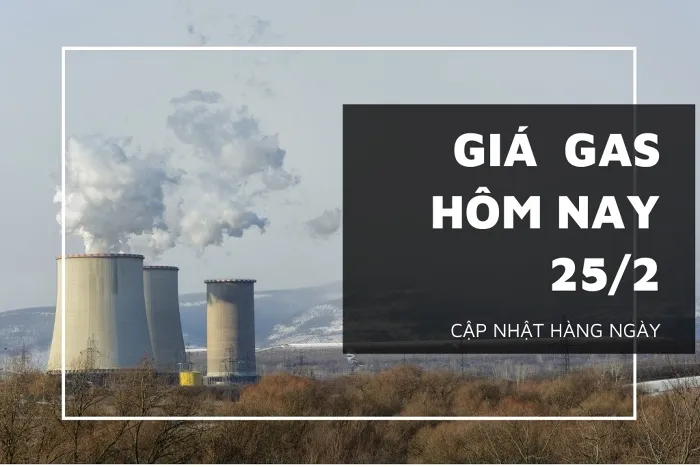 Giá gas hôm nay 25/2: Tiếp đà tăng mạnh trên 5%