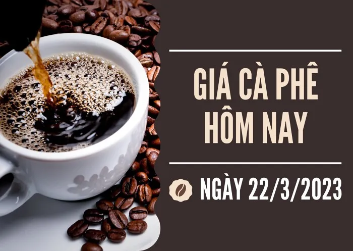 Giá cà phê hôm nay 22/3: Tăng tiếp 600 đồng/kg