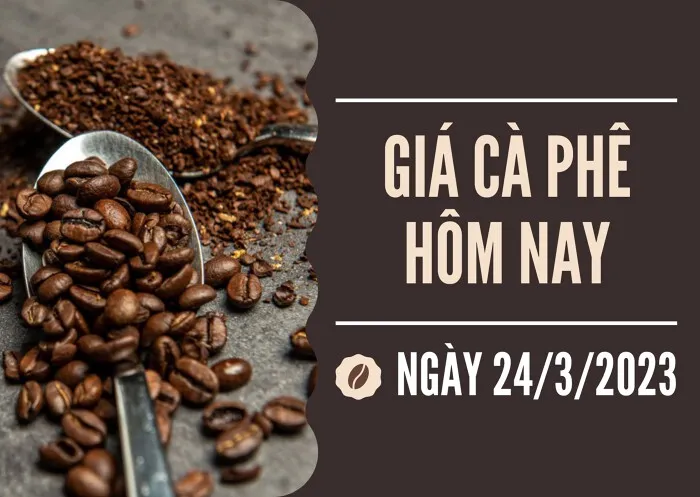 Giá cà phê hôm nay 24/3: Tăng từ 100 đồng/kg đến 200 đồng/kg