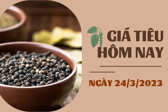 Giá tiêu hôm nay 24/3: Thị trường trầm lắng, cao su SHFE giảm dưới 0,5%