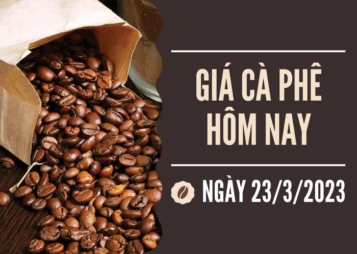 Giá cà phê hôm nay 23/3: Quay đầu giảm 100 đồng/kg