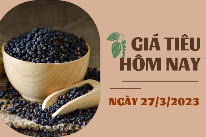 Giá Tiêu và Cao su hôm nay 27/3: Tiêu cao nhất 66.000 đồng/kg, Cao su kỳ hạn tăng