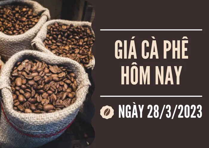 Giá cà phê hôm nay 28/3: Tăng tiếp 200 đồng/kg