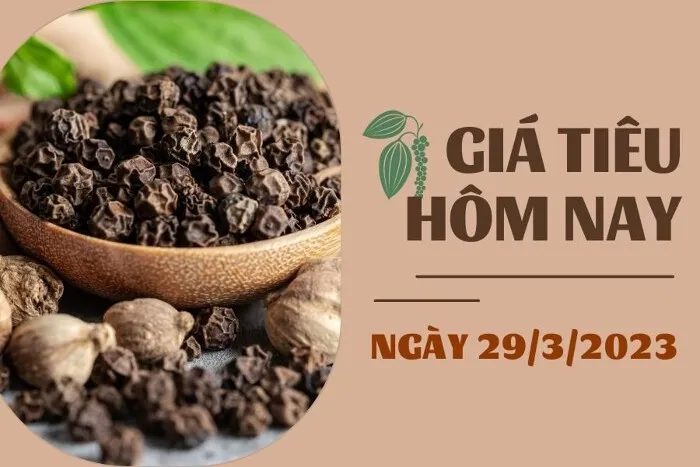 Giá Tiêu và Cao su hôm nay 29/3: Tiêu tiếp tục đi ngang, Cao su biến động nhẹ