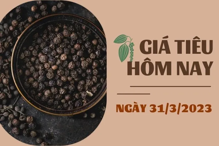 Giá Tiêu và Cao su hôm nay 31/3: Tiêu rời ngưỡng 66.000 đồng/kg, Cao su tiếp tục tăng