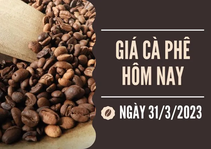 Giá cà phê hôm nay 31/3: Tăng 1.000 đồng/kg tại các địa phương