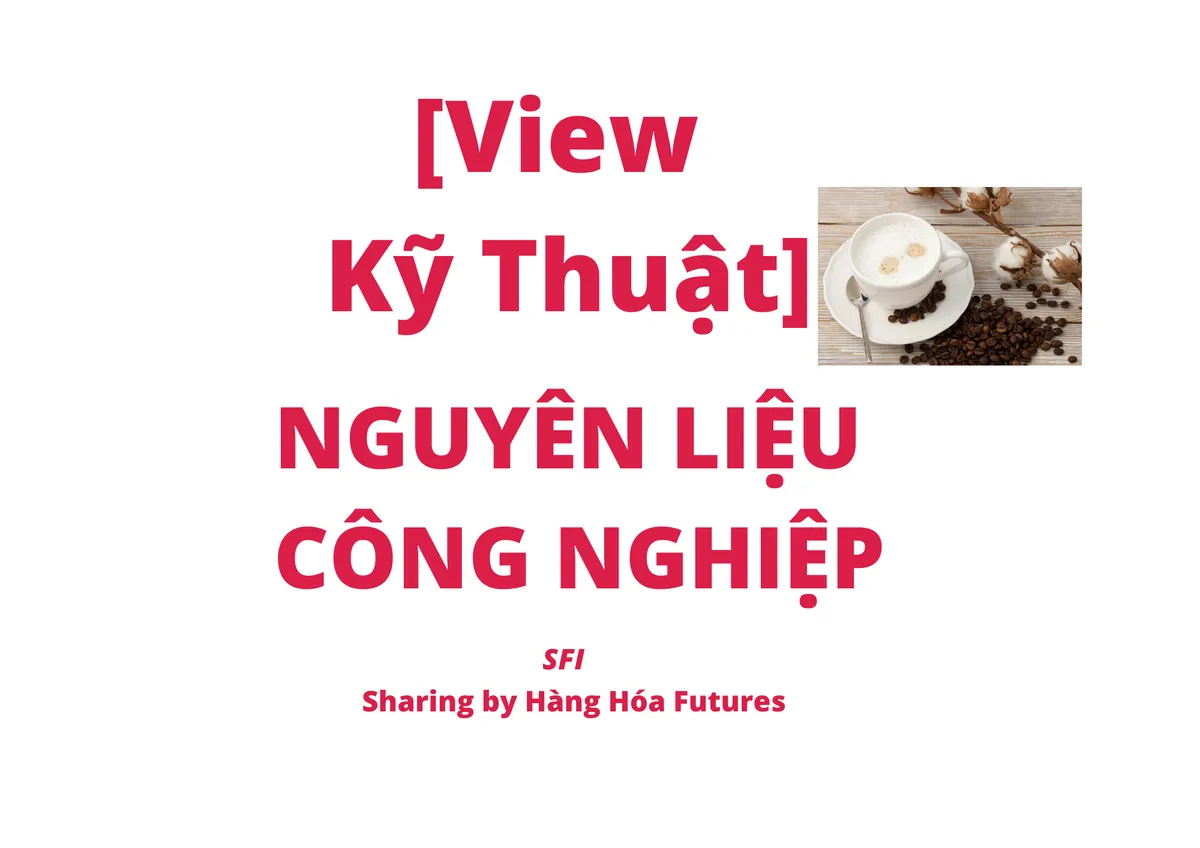 [View Kỹ thuật] - Nguyên liệu Công Nghiệp - Ngày 24.03.2023