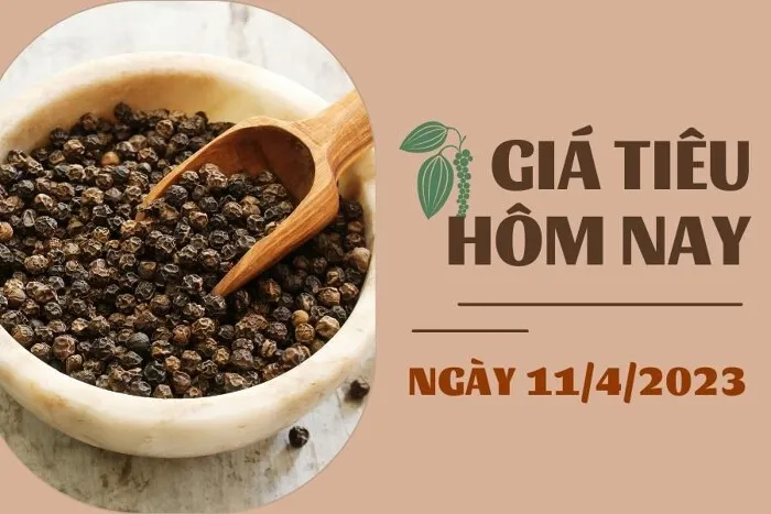 Giá Tiêu và Cao su hôm nay 11/4: Tiêu thị trường lặng sóng, cao su SHFE giảm hơn 0,1%