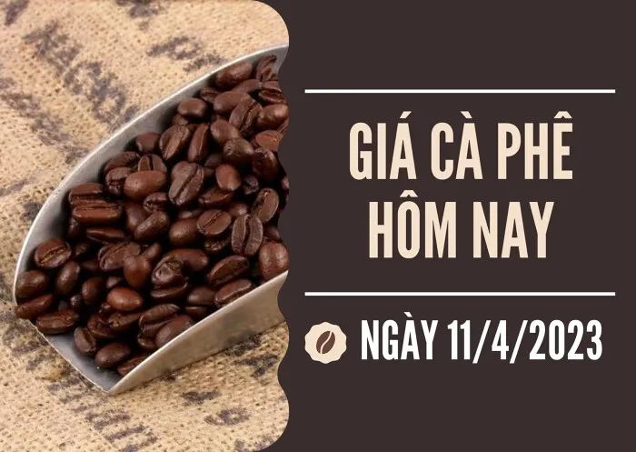 Giá cà phê hôm nay 11/4: Lặng sóng, thấp nhất 49.200 đồng/kg