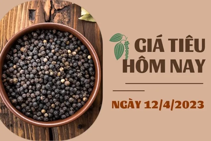 Giá Tiêu và Cao su hôm nay 12/4: Tiêu cao nhất là 66.000 đồng/kg, cao su tăng dưới 0,5%