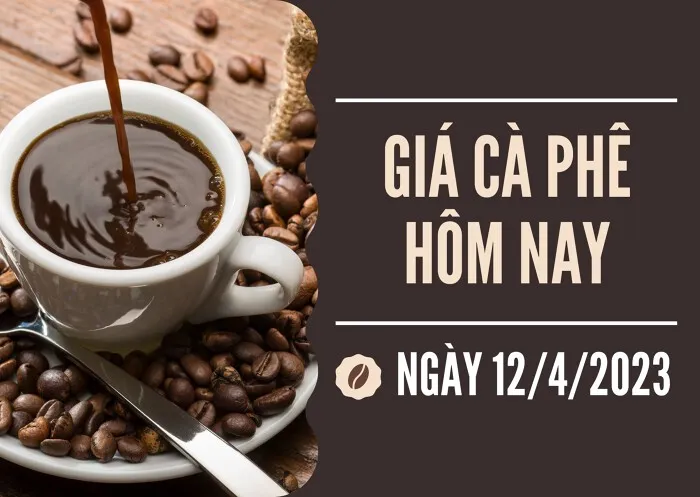 Giá cà phê hôm nay 12/4: Tăng hơn 4% trên thị trường thế giới