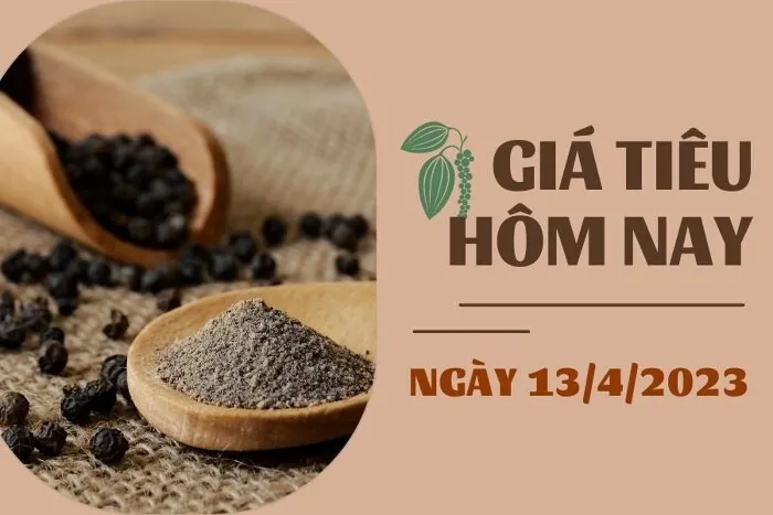 Giá Tiêu và Cao su hôm nay 13/4: Tiêu duy trì ổn định, cao su TOCOM tăng gần 0,5%