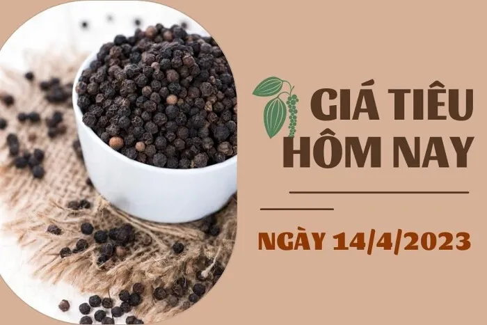 Giá Tiêu và Cao su hôm nay 14/4: Tiêu tiếp tục đi ngang, cao su kỳ hạn biến động trái chiều