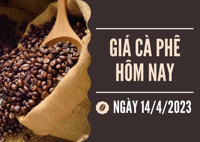 Giá cà phê hôm nay 14/4: Giá cà phê arabica tăng hơn 3%