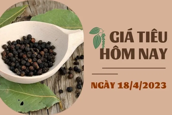 Giá Tiêu và Cao su hôm nay 18/4: Tiêu tiếp tục ổn định, cao su biến động trái chiều