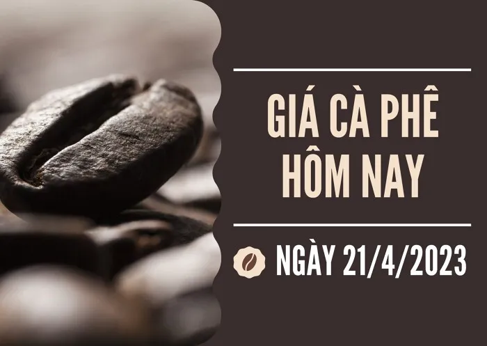 Giá cà phê hôm nay 21/4: Quay đầu giảm 200 đồng/kg