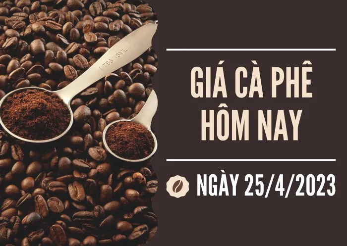 Giá cà phê hôm nay 25/4: Tăng 700 đồng/kg, vượt mốc 51.000 đồng/kg