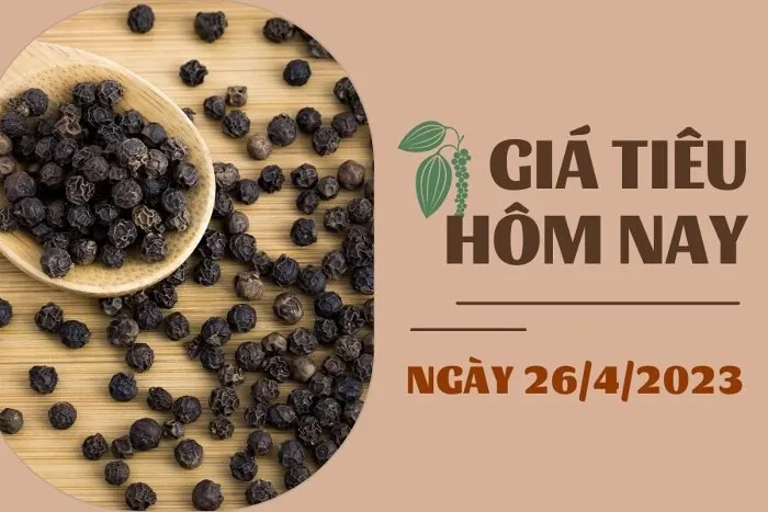 Giá Tiêu và Cao su hôm nay 26/4: Tiêu cao nhất 67.500 đồng/kg, cao su SHFE giảm hơn 1%