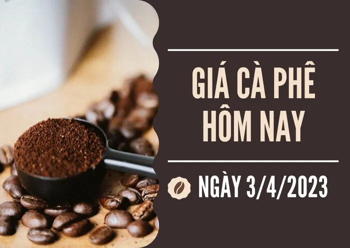 Giá cà phê hôm nay 3/4: Biến động trái chiều ngày đầu tuần