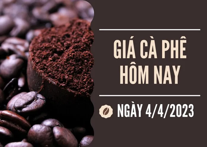 Giá cà phê hôm nay 4/4: Tăng 400 đồng/kg trên diện rộng