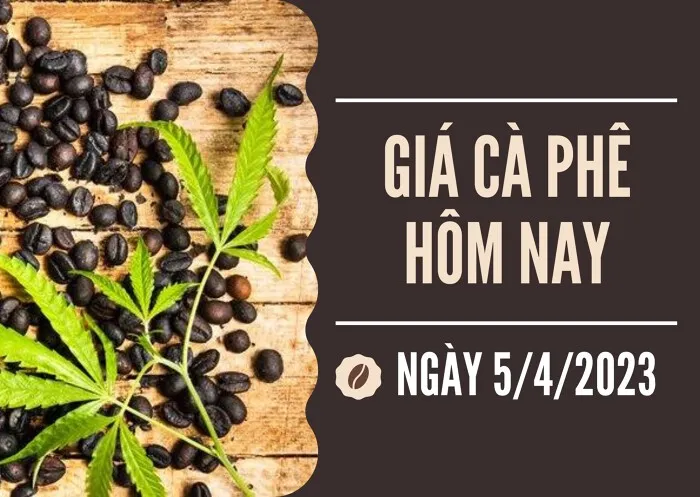 Giá cà phê hôm nay 5/4: Tăng tiếp 400 đồng/kg