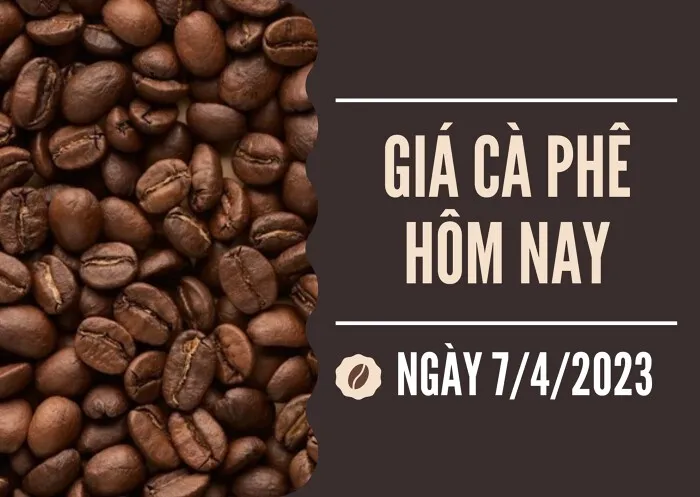 Giá cà phê hôm nay 7/4: Quay đầu giảm 400 đồng/kg trên diện rộng