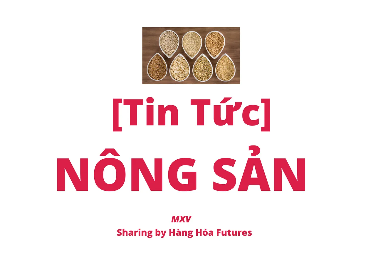 Tổng hợp tin tức thị trường nông sản ngày 10/05