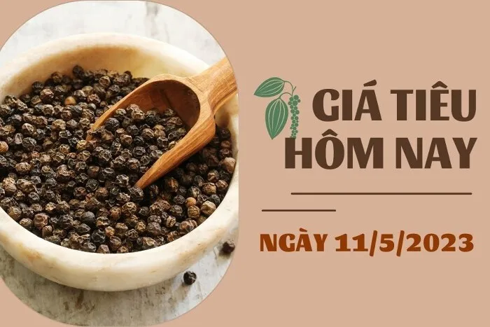 Giá Tiêu và Cao su hôm nay 11/5: Tiêu tiếp tục tăng, cao su biến động không đồng nhất