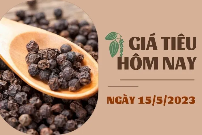 Giá Tiêu và Cao su hôm nay 15/5: Tiêu tiếp đà đi xuống, cao su biến động hơn 2%