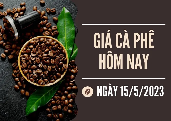 Giá cà phê hôm nay 15/5: Thị trường thế giới biến động trái chiều