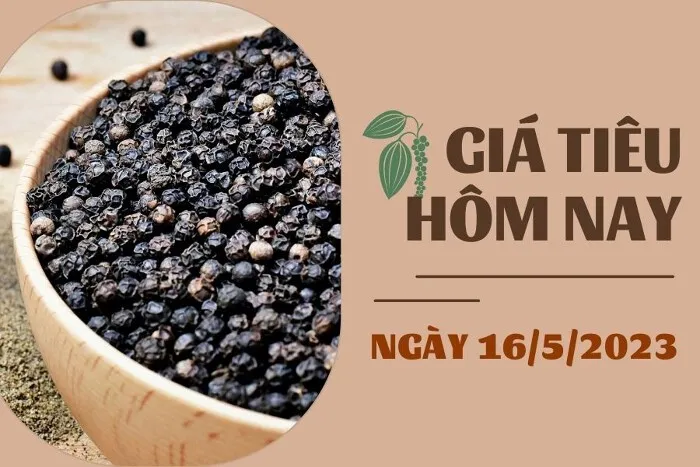 Giá tiêu hôm nay 16/5: Đồng loạt tăng, cao su kỳ hạn tăng hơn 0,5%