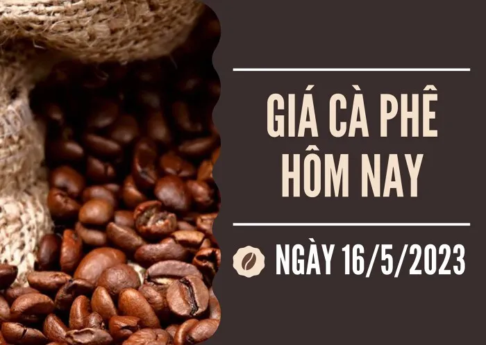 Giá cà phê hôm nay 16/5: Tăng 1.000 đồng/kg, cao nhất 56.300 đồng/kg