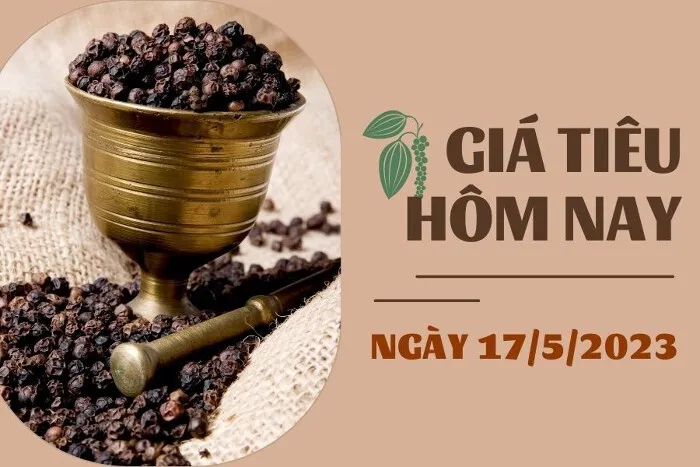 Giá Tiêu và Cao su hôm nay 17/5: Tiêu duy trì ổn định, cao su giảm không quá 0,5%