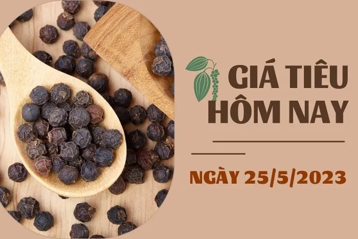 Giá Tiêu và Cao su hôm nay 25/5: Tiêu tiếp tục giảm, cao su tăng giảm không đồng nhất