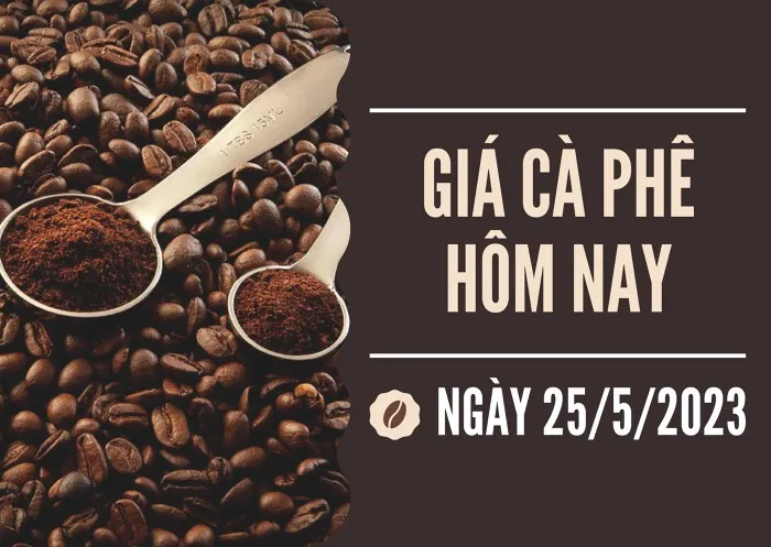 Giá cà phê hôm nay 25/5: Quay đầu tăng, đạt ngưỡng 61.000 đồng/kg