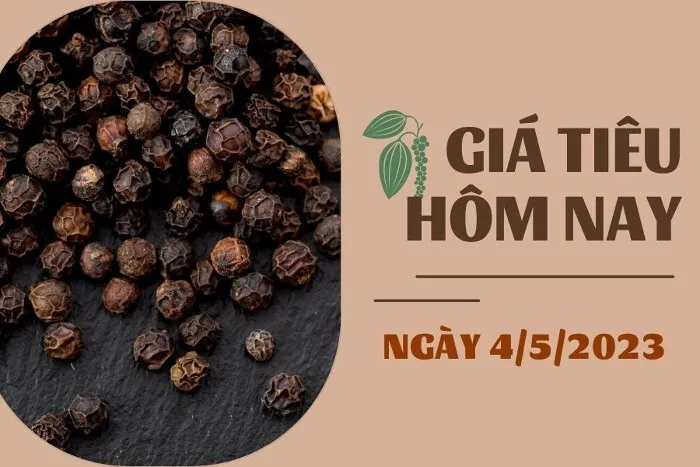 Giá Tiêu và Cao su hôm nay 4/5: tiêu cao nhất 69.500 đồng/kg, cao su giảm không quá 1,5%