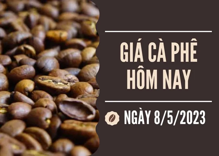 Giá cà phê hôm nay 8/5: Arabica tăng hơn 2,7%