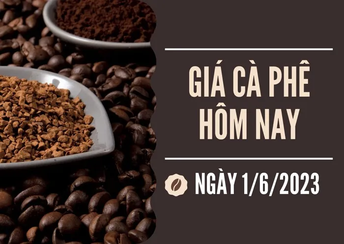 Giá cà phê hôm nay 1/6: Giảm tiếp 100 đồng/kg