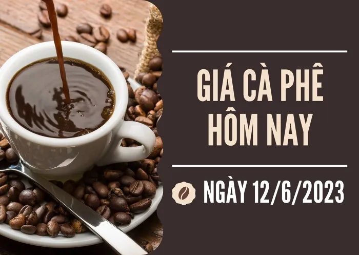 Giá cà phê hôm nay 12/6: Thị trường thế giới giảm ngày đầu tuần