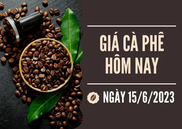 Giá cà phê hôm nay 15/6: Chạm mốc 65.000 đồng/kg