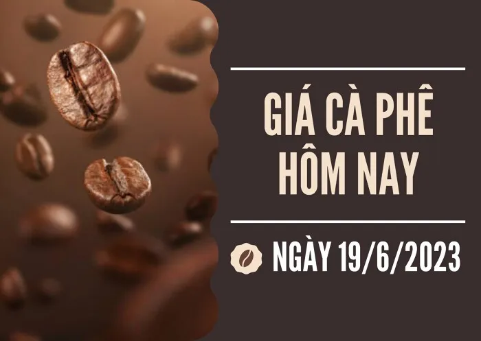 Giá cà phê hôm nay 19/6: Thị trường thế giới giảm