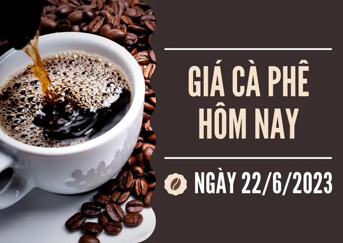 Giá cà phê hôm nay 22/6: Giảm tiếp 700 đồng/kg