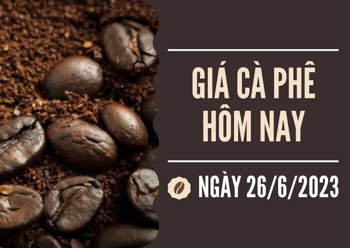 Giá cà phê hôm nay 26/6: Arabica giảm 3,17% về mức 164,85 US cent/pound