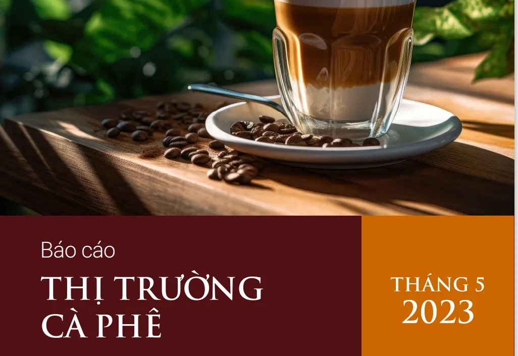 [Báo cáo] Thị trường cà phê tháng 5/2023: Giá cà phê liên tục lập kỷ lục mới