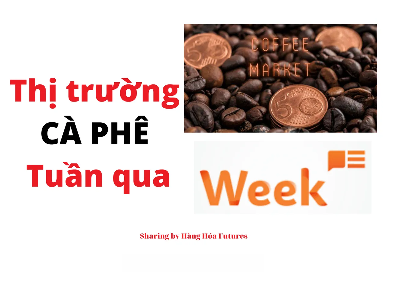 THỊ TRƯỜNG CÀ PHÊ TUẦN 24 (12/6-16/6/2023): MẶT BẰNG CHUNG GIÁ CÀ PHÊ XUẤT KHẨU TĂNG MẠNH SO VỚI TUẦN TRƯỚC