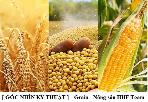 [ GÓC NHÌN KỸ THUẬT ] - NGÀY 15/06/2023 - Grain - Nông sản